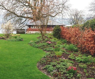 Abwechslungsreich bepflanzte Rabatten