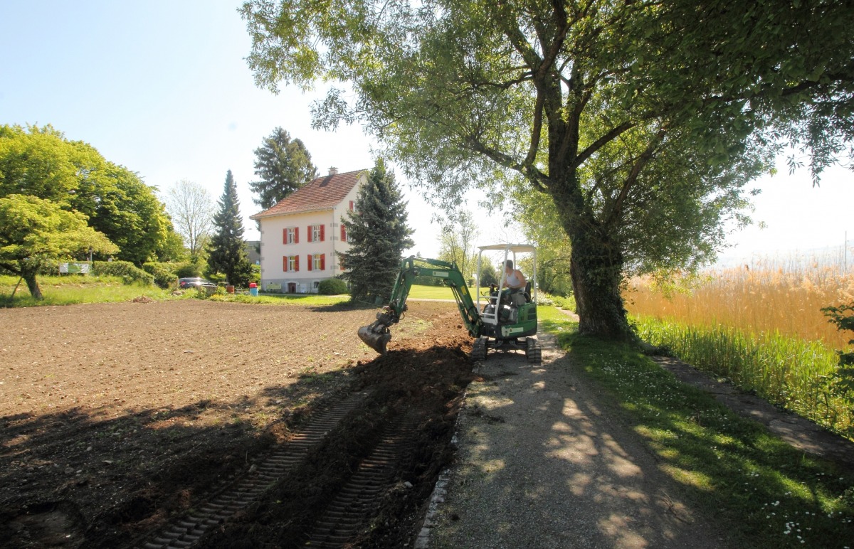 Angleichen der Humusfläche an den Spazierweg
